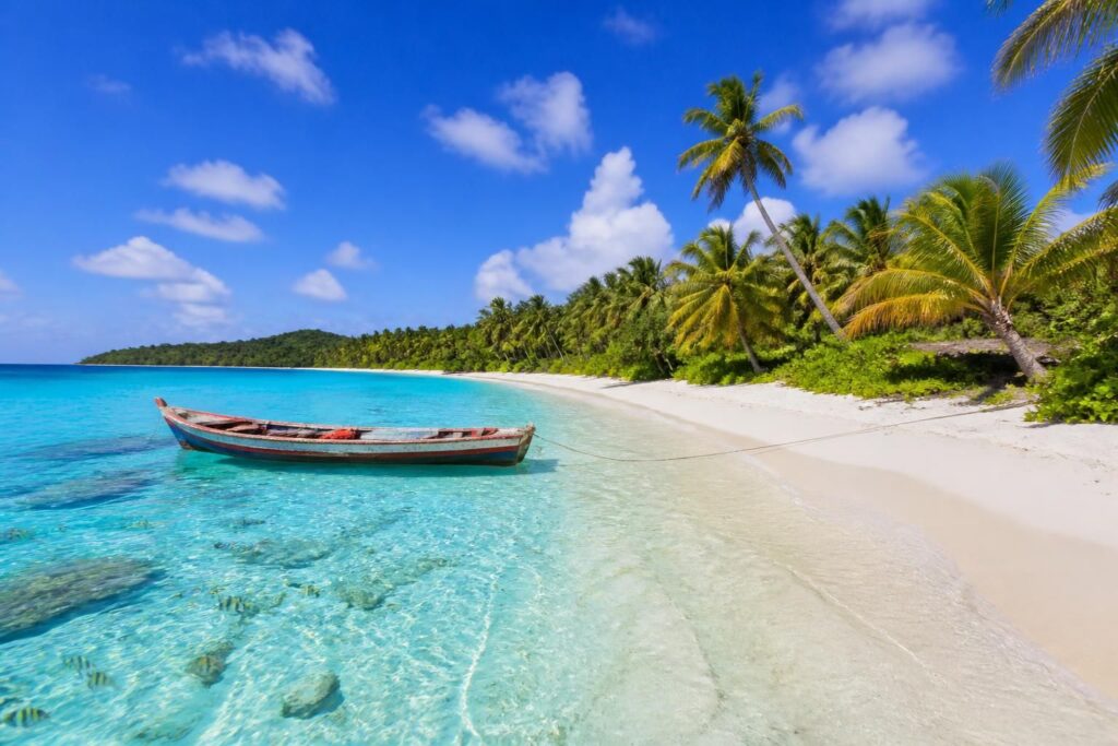 explorez l'île saona en république dominicaine, un paradis tropical aux plages de sable blanc, eaux turquoise et paysages naturels préservés pour des vacances inoubliables.
