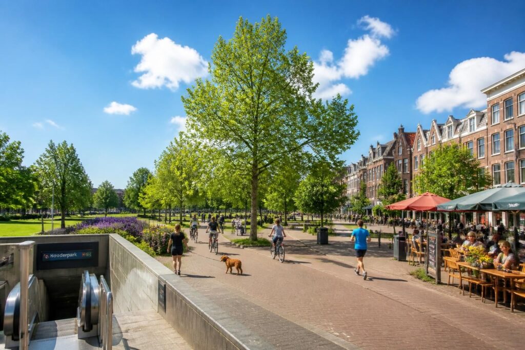 découvrez noorderpark à amsterdam : un guide complet avec accès métro, activités dans le parc et les meilleurs cafés à proximité pour une visite inoubliable.